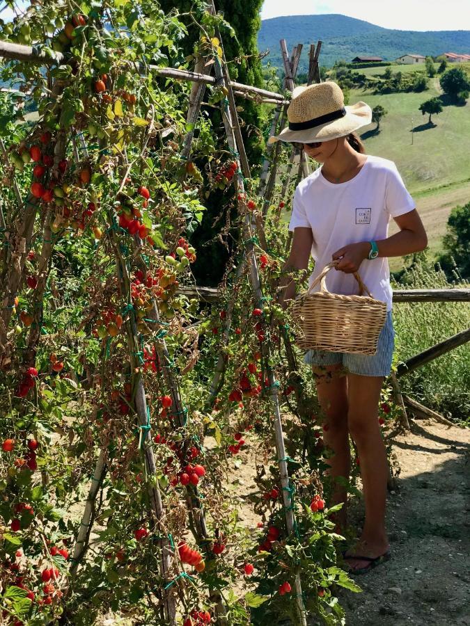 La Corte Del Gusto Luxuryapartments Arcevia
