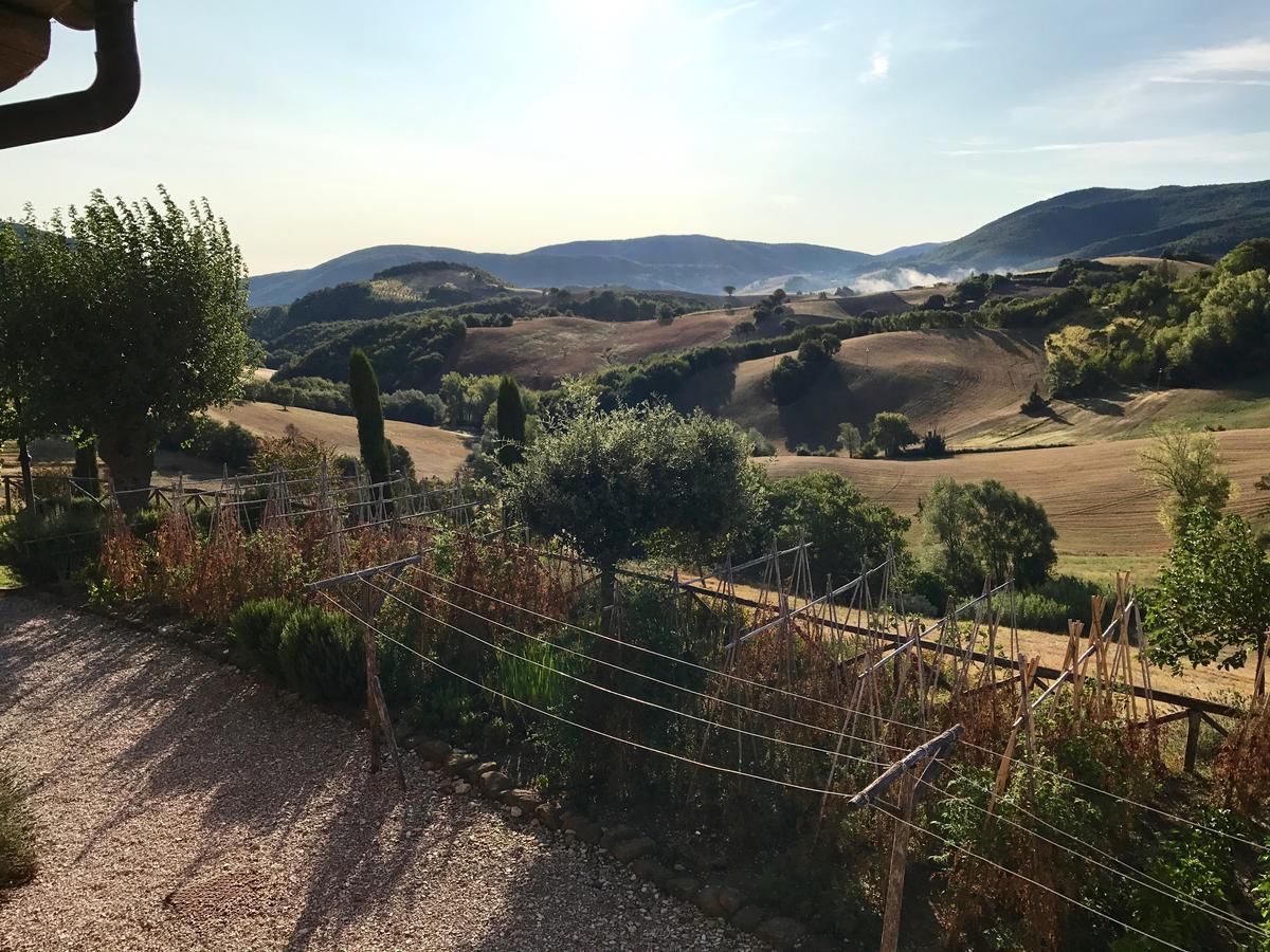 La Corte Del Gusto Luxuryapartments Arcevia