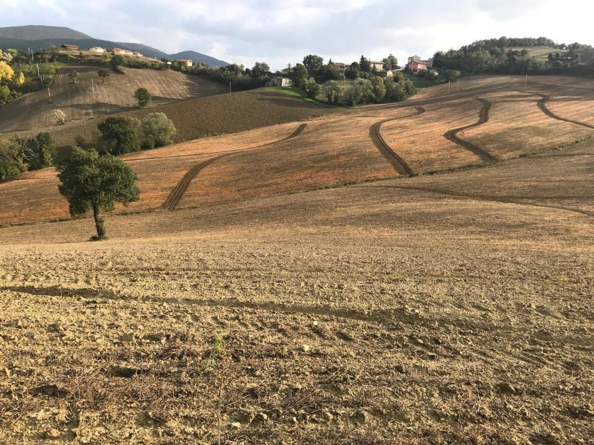 La Corte Del Gusto Luxuryapartments