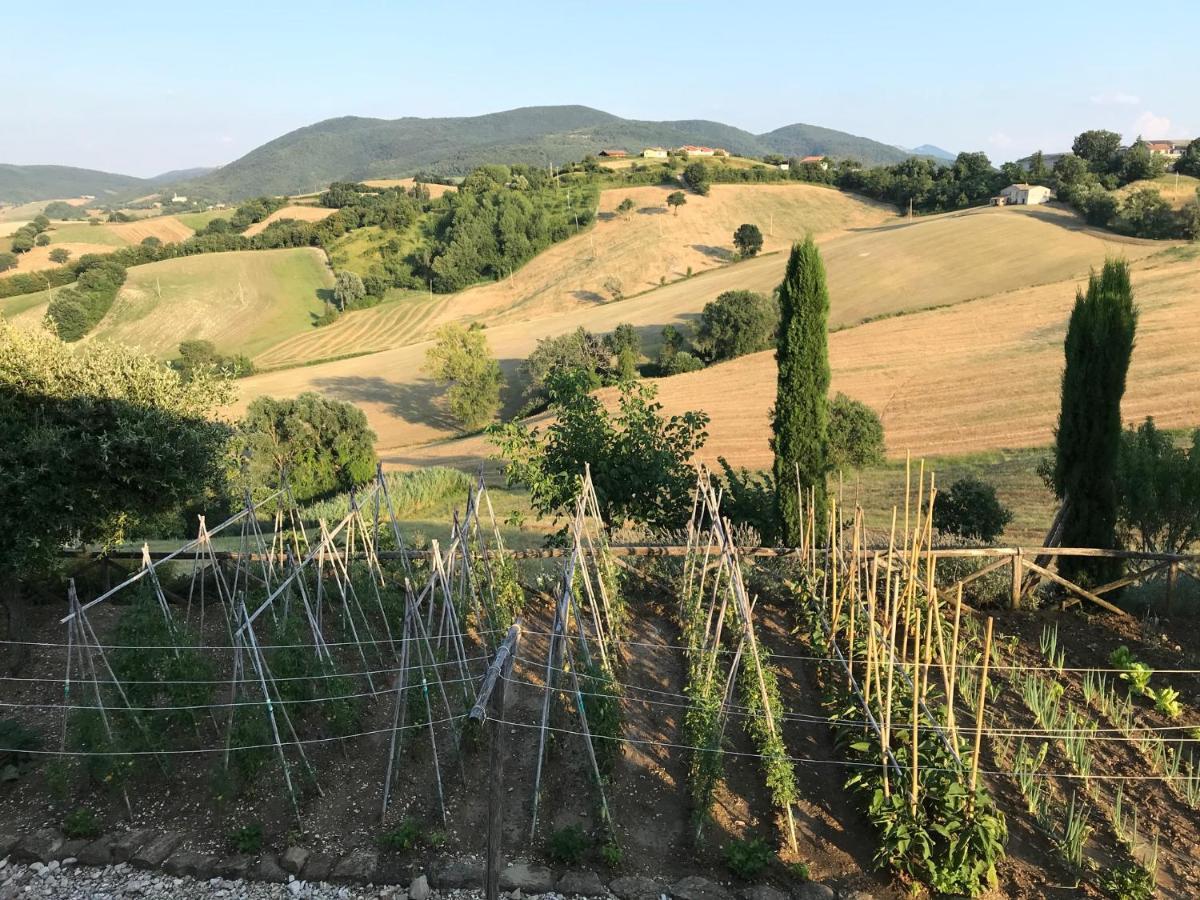 La Corte Del Gusto Luxuryapartments Arcevia